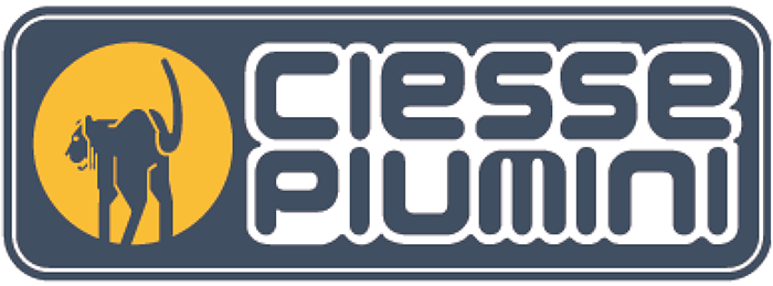 Ciesse Piumini stock for e-commerce